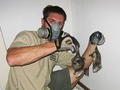 Jersey City dead animal